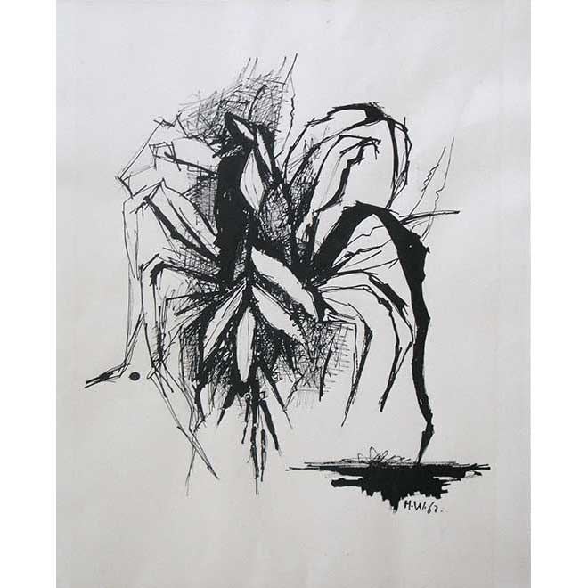 Ohne Titel (Pflanzenstudie), 1967, 40 × 50 cm, Tusche auf Papier