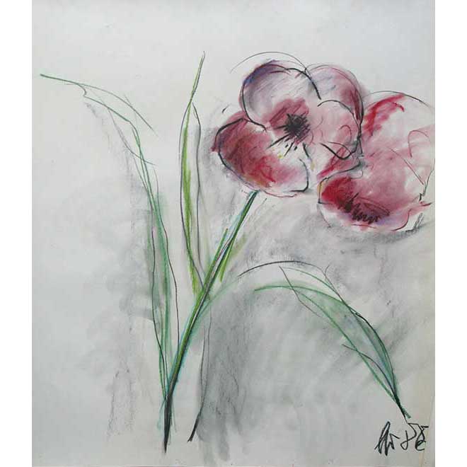 Ohne Titel (Blume), 1980, 65 × 72 cm, Pastellkreide auf Papier